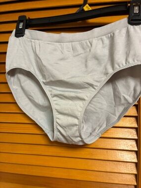 Everyday Brief Panty in Light Gray